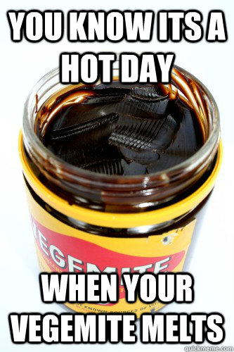 You know its a hot day when your vegemite melts  vegemite meme