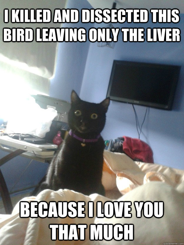 I killed and dissected this bird leaving only the liver because i love you that much  overly attached cat