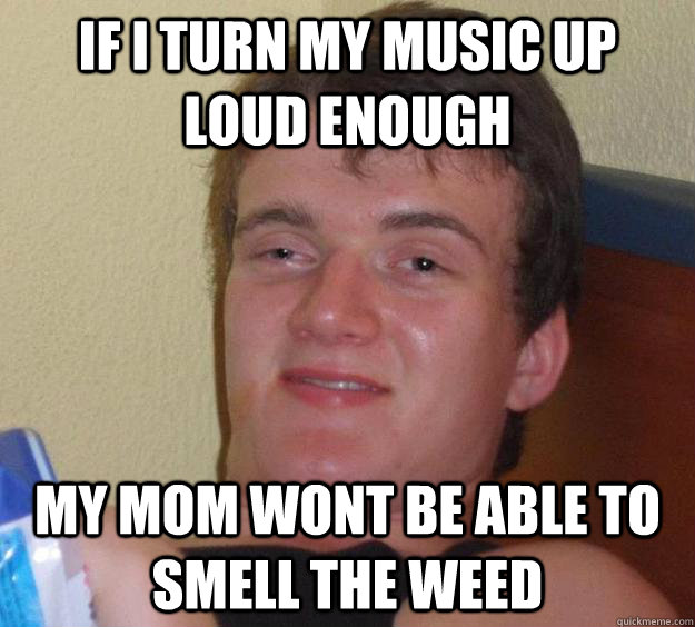 If i turn my music up loud enough my mom wont be able to smell the weed  10 Guy