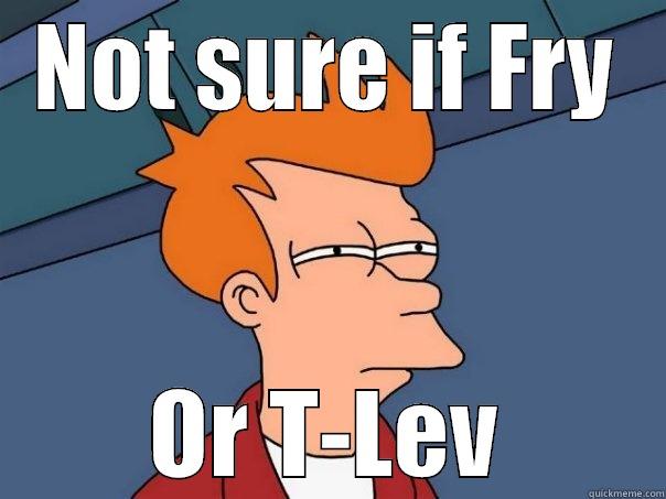 NOT SURE IF FRY OR T-LEV Futurama Fry