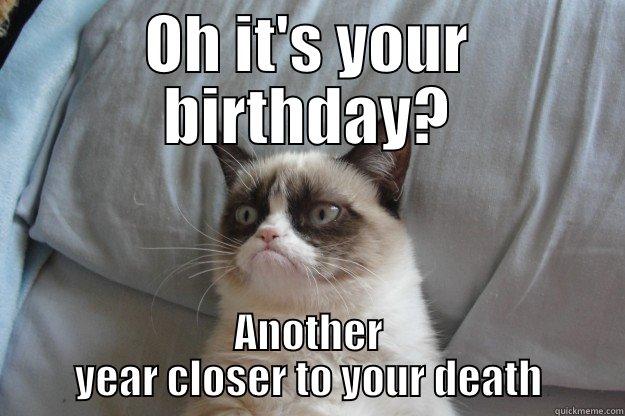 OH IT'S YOUR BIRTHDAY? ANOTHER YEAR CLOSER TO YOUR DEATH Grumpy Cat