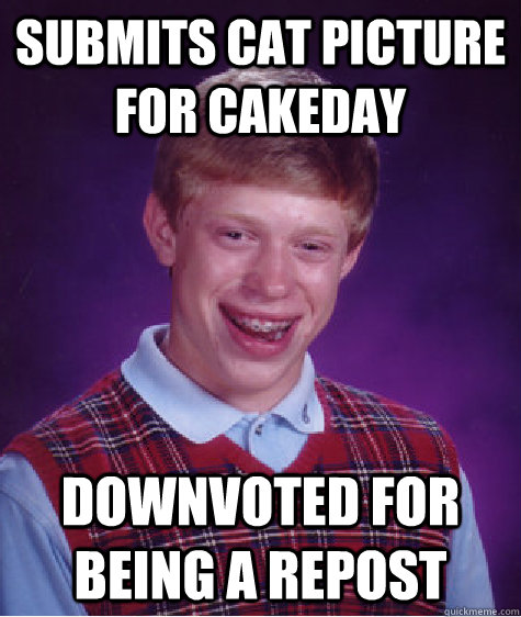 submits cat picture for cakeday downvoted for being a repost  Bad Luck Brian