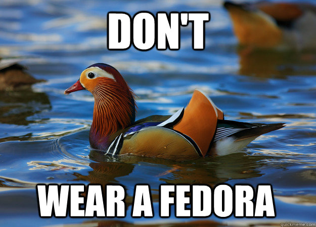 don't  wear a fedora  Fashion Advice Mallard