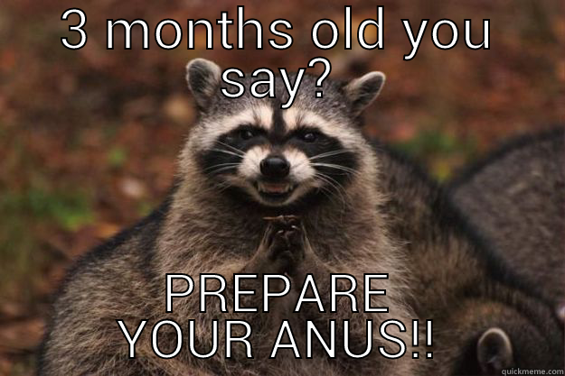 3 MONTHS OLD YOU SAY? PREPARE YOUR ANUS!! Evil Plotting Raccoon