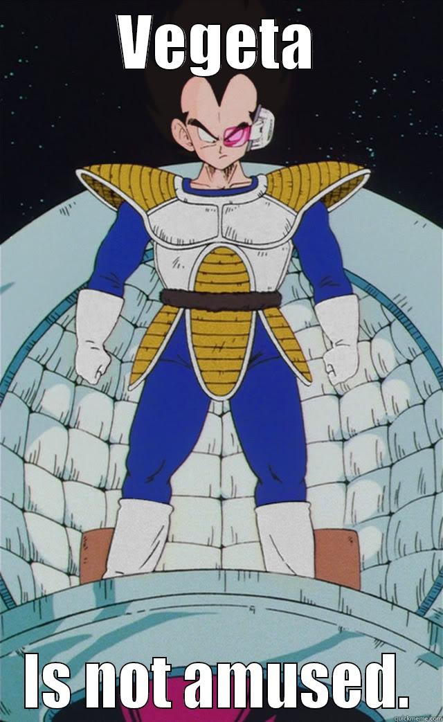 Vegeta is not amused mo fo - VEGETA IS NOT AMUSED. Misc