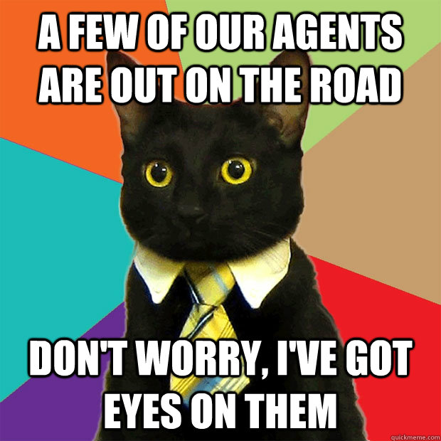 a few of our agents are out on the road don't worry, i've got eyes on them  Business Cat