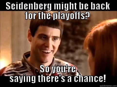 SEIDENBERG MIGHT BE BACK FOR THE PLAYOFFS? SO YOU'RE SAYING THERE'S A CHANCE! Misc