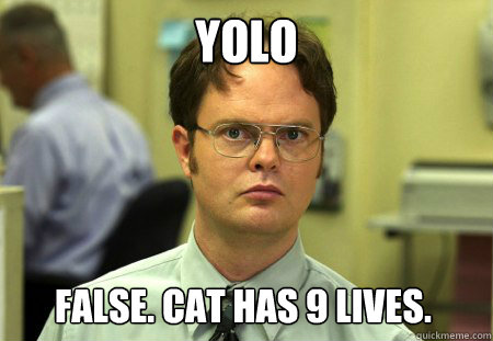 YOLO False. cat has 9 lives.  Dwight