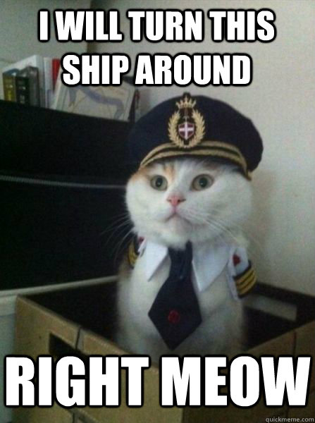 i will turn this ship around right meow  