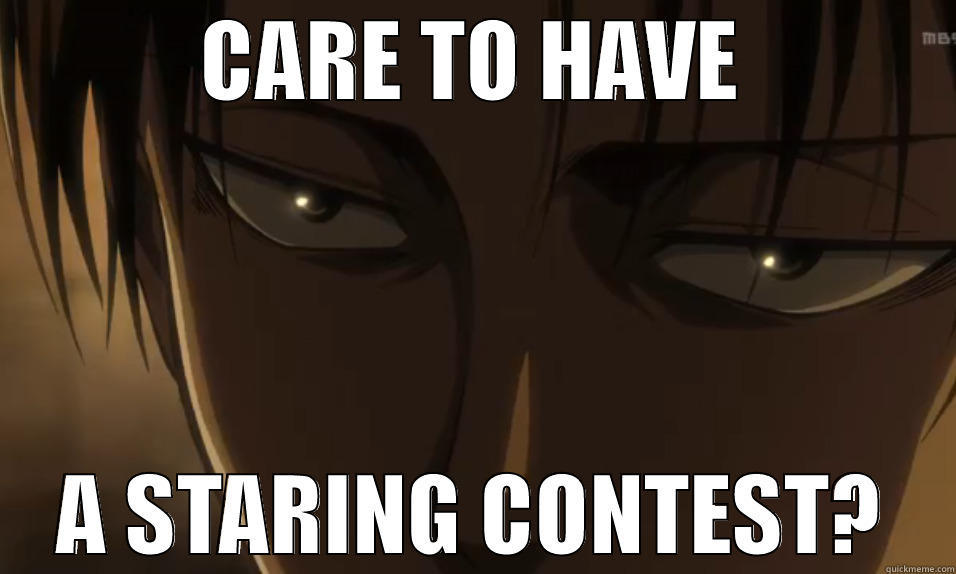 Staring contest with Levi-heichou.  - CARE TO HAVE A STARING CONTEST? Misc