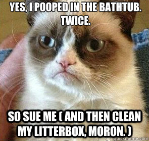 Yes, I pooped in the bathtub. Twice. So sue me ( and then clean my litterbox, moron. )    