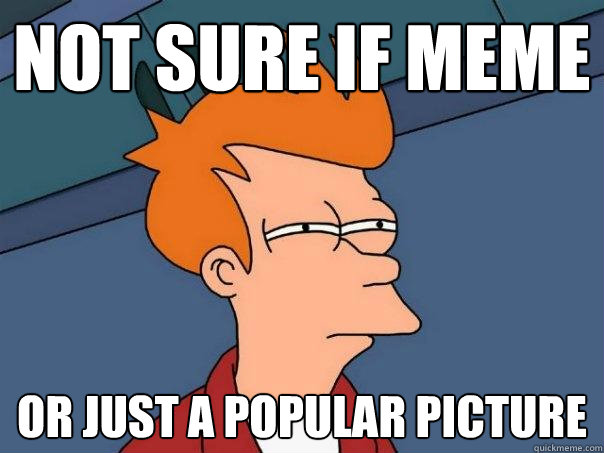 not sure if meme or just a popular picture  Futurama Fry