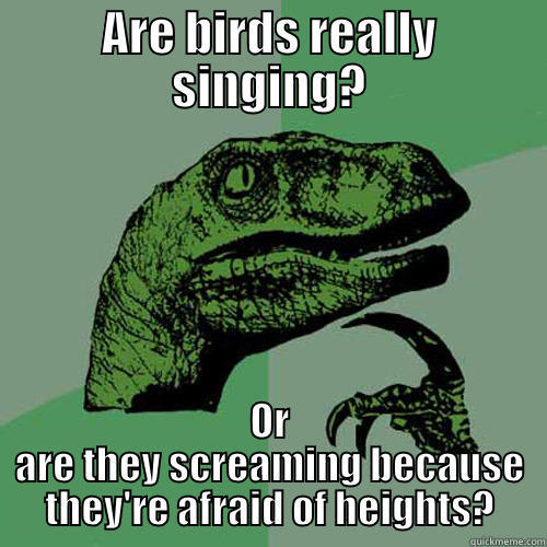 The Truth About Birds - ARE BIRDS REALLY SINGING? OR ARE THEY SCREAMING BECAUSE THEY'RE AFRAID OF HEIGHTS? Philosoraptor