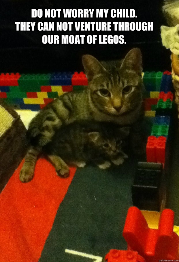 Do not worry my child.           They can not venture through our moat of legos.  Protective Cat Parent