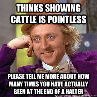 Thinks showing cattle is pointless please tell me more about how many times you have actually been at the end of a halter  Condescending Wonka