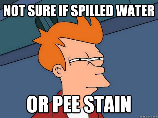 Not sure if spilled water or pee stain   Futurama Fry