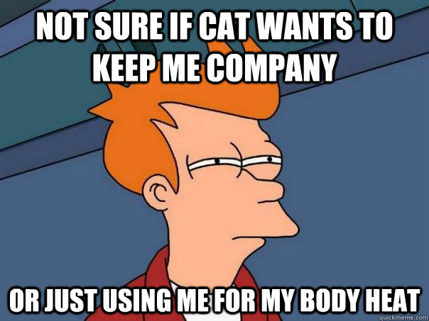 Not sure if cat wants to keep me company Or just using me for my body heat - Not sure if cat wants to keep me company Or just using me for my body heat  Futurama Fry