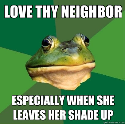 love thy neighbor especially when she leaves her shade up - love thy neighbor especially when she leaves her shade up  Foul Bachelor Frog