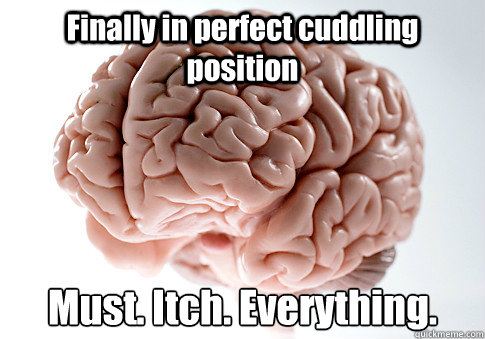 Finally in perfect cuddling position Must. Itch. Everything.   Scumbag Brain