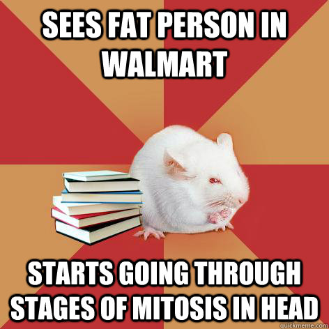 Sees fat person in walmart starts going through stages of mitosis in head  Science Major Mouse