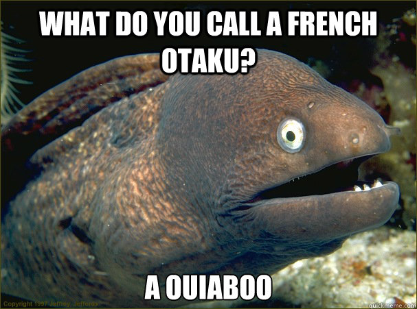 What do you call a French otaku? A ouiaboo  Bad Joke Eel