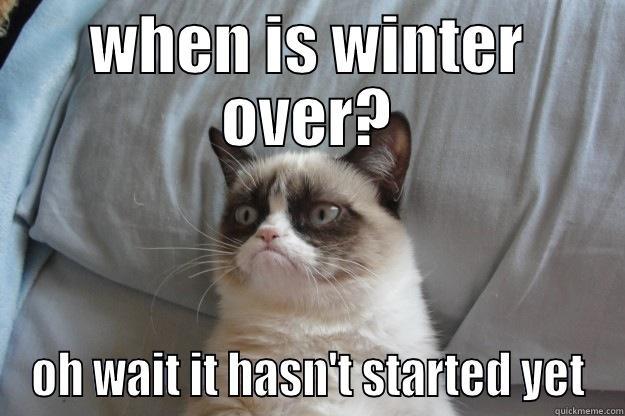 grumpy winter cat - WHEN IS WINTER OVER? OH WAIT IT HASN'T STARTED YET Grumpy Cat