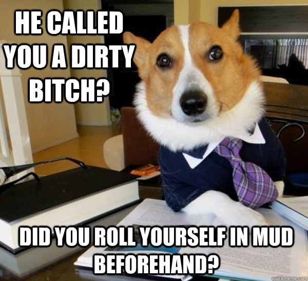 He called you a dirty bitch? Did you roll yourself in mud beforehand?  Lawyer Dog