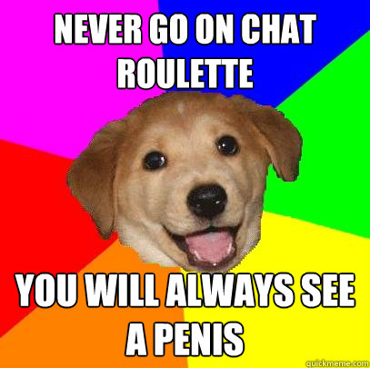 Never Go on chat roulette You will always see a penis  Advice Dog