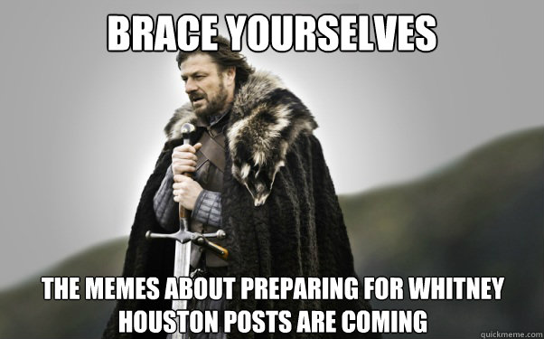 BRACE YOURSELVES The Memes About preparing for Whitney houston posts are coming  Ned Stark