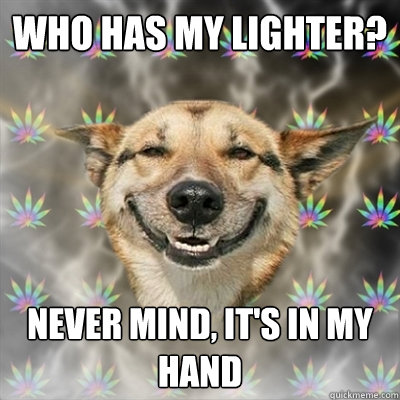 Who has my lighter? Never mind, it's in my hand  Stoner Dog