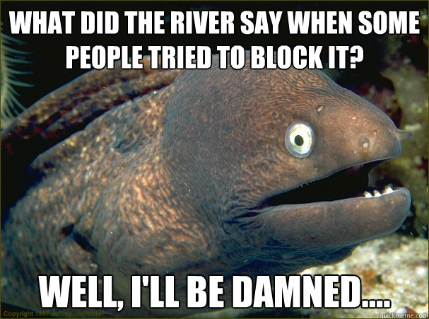 what did the river say when some people tried to block it? well, I'll be damned....  Bad Joke Eel