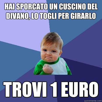 hai sporcato un cuscino del divano, lo togli per girarlo trovi 1 euro  Success Kid