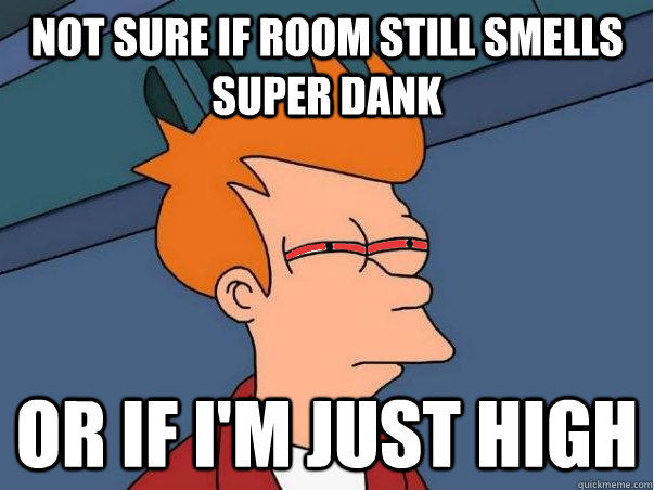 Not sure if room still smells super dank Or if i'm just high - Not sure if room still smells super dank Or if i'm just high  High Fry