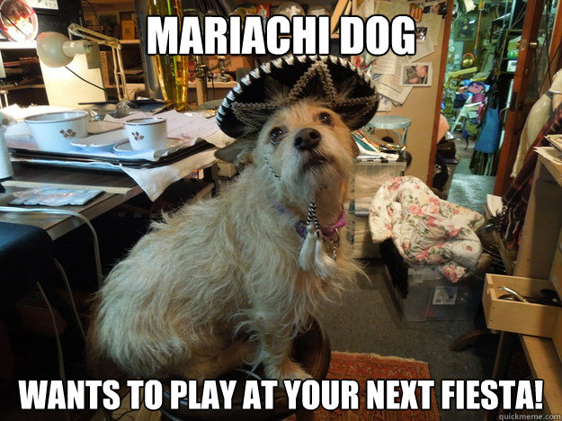 Mariachi Dog Wants to play at your next fiesta!  Mariachi Dog