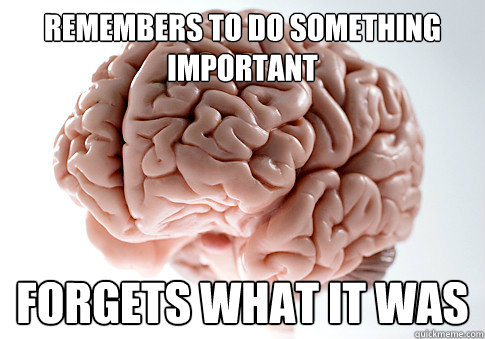 Remembers to do something important Forgets what it was  Scumbag Brain