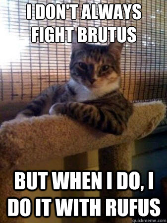 i don't always fight brutus but when i do, i do it with RUfus  The Most Interesting Cat in the World