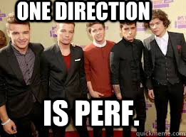 ONE DIRECTION IS PERF.  