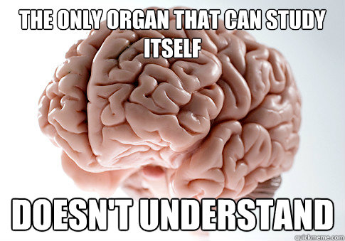 The only organ that can study itself Doesn't understand  Scumbag Brain