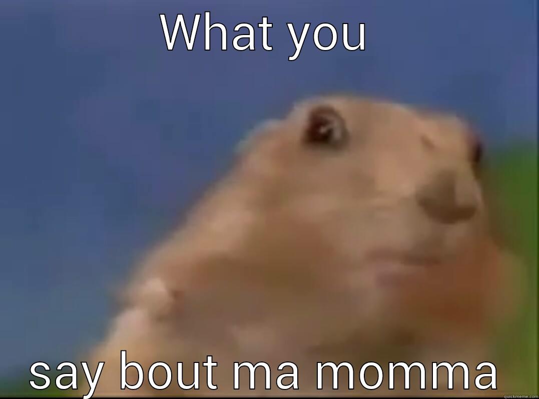 WHAT YOU SAY BOUT MA MOMMA Misc
