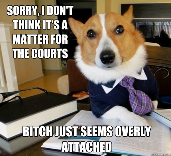 sorry, i don't think it's a matter for the courts bitch just seems overly attached  Lawyer Dog