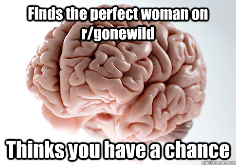 Finds the perfect woman on r/gonewild Thinks you have a chance  Scumbag Brain