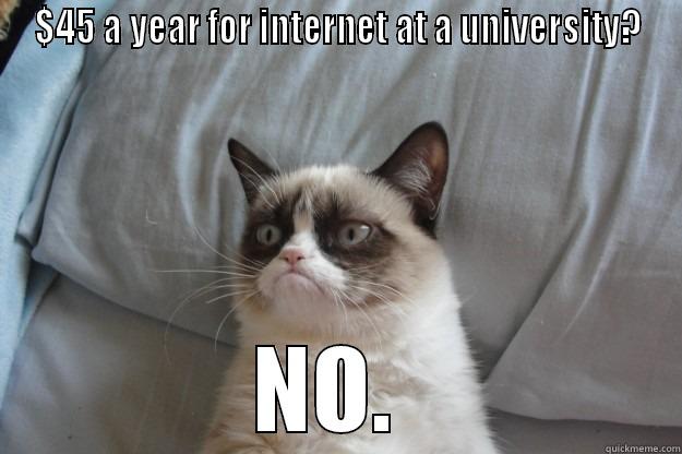 $45 A YEAR FOR INTERNET AT A UNIVERSITY? NO.  Grumpy Cat