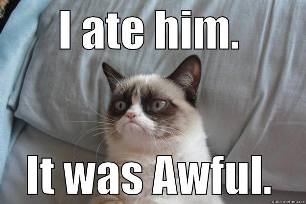 Ate the dormouse - I ATE HIM. IT WAS AWFUL. Grumpy Cat