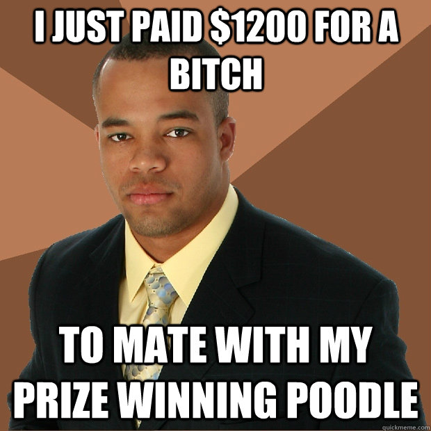 I just paid $1200 for a bitch to mate with my prize winning poodle   Successful Black Man