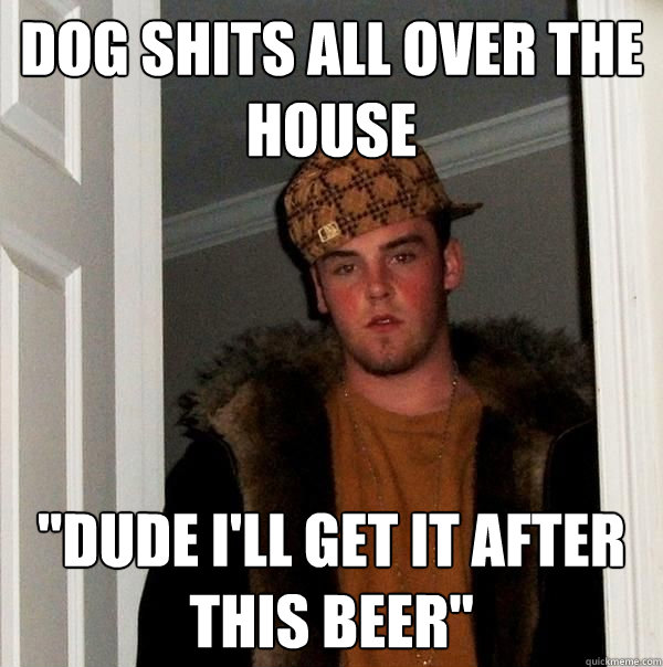 Dog shits all over the house 