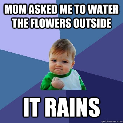 Mom asked me to water the flowers outside it rains  Success Kid