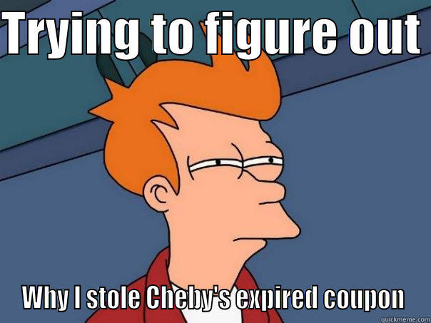 Serious Problems - TRYING TO FIGURE OUT  WHY I STOLE CHEBY'S EXPIRED COUPON Futurama Fry