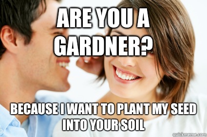 Are you a Gardner? Because I want to plant my seed into your soil   Bad Pick-up line Paul