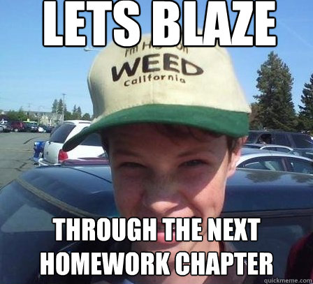 Lets blaze through the next homework chapter  Stoner Luke