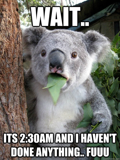 wait.. its 2:30am and i haven't done anything.. fuuu  koala bear